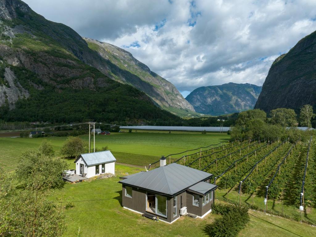 Wood tables with blue vases against a mural wall