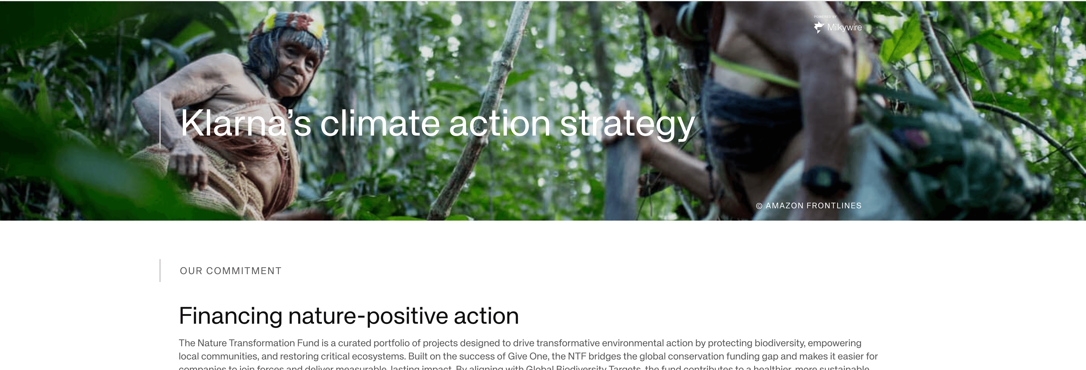 Klarna NTF sustainability page