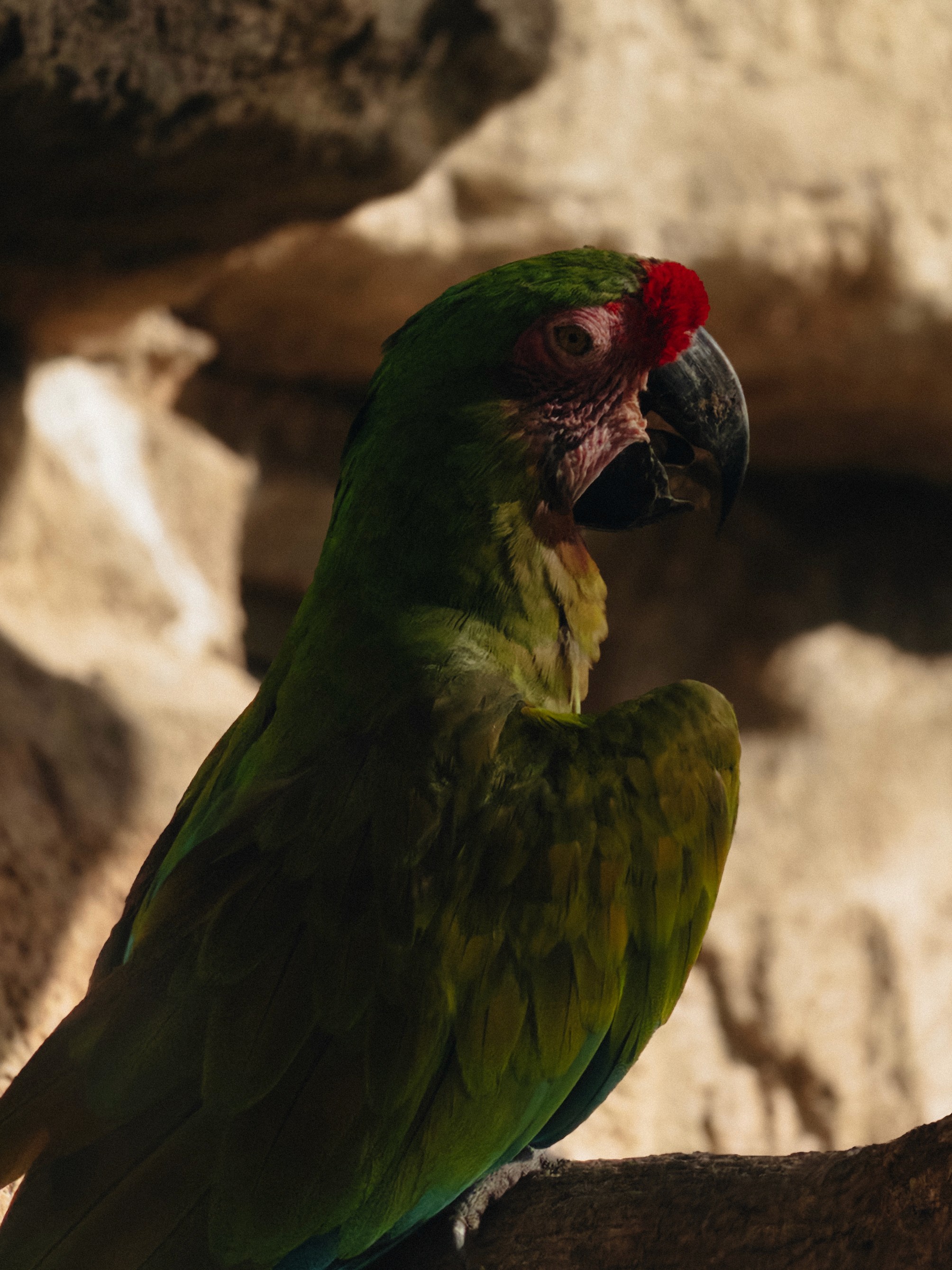 Coastal Scene with Boats