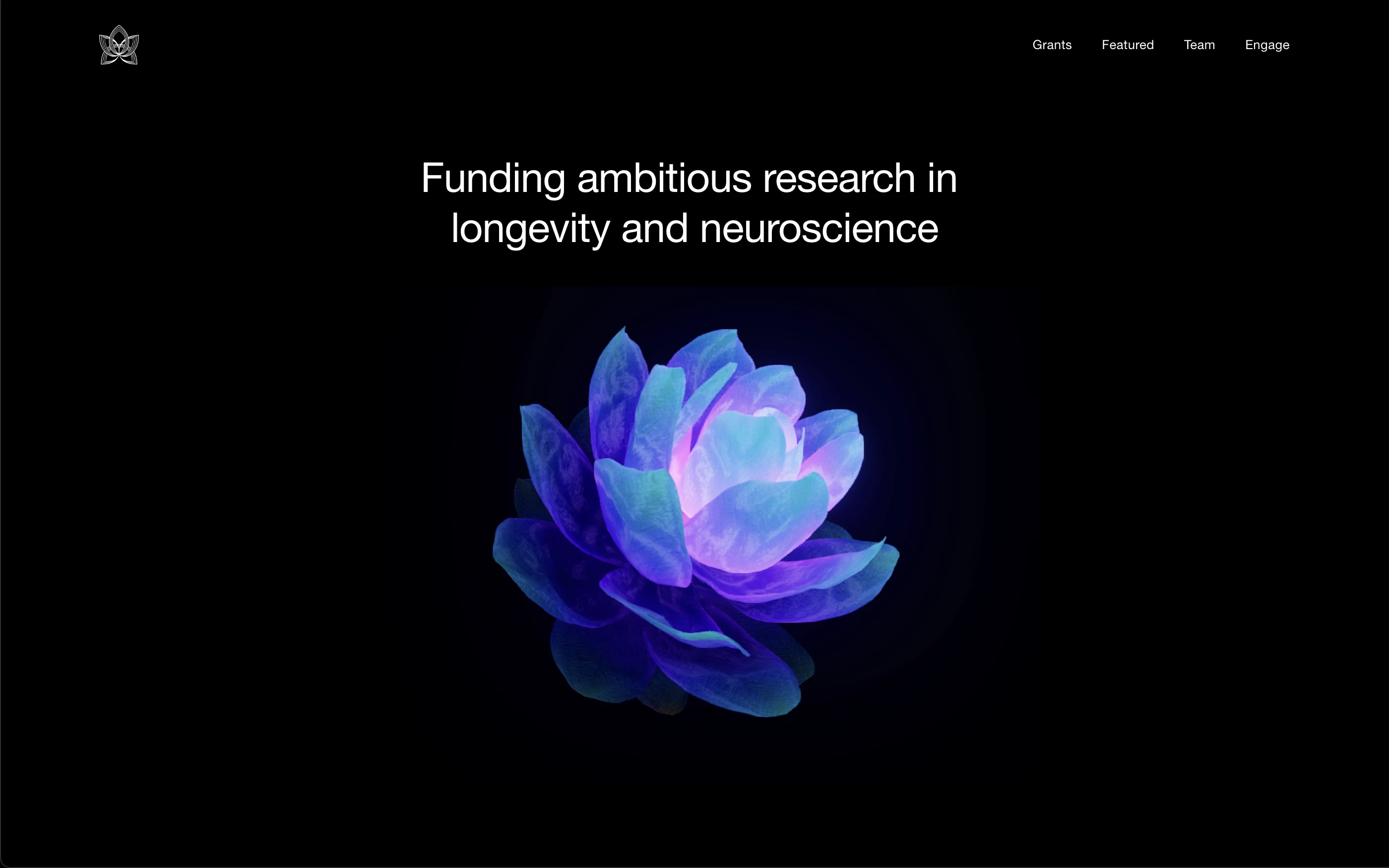 Amaranth Foundation Website by Aaron Rolston