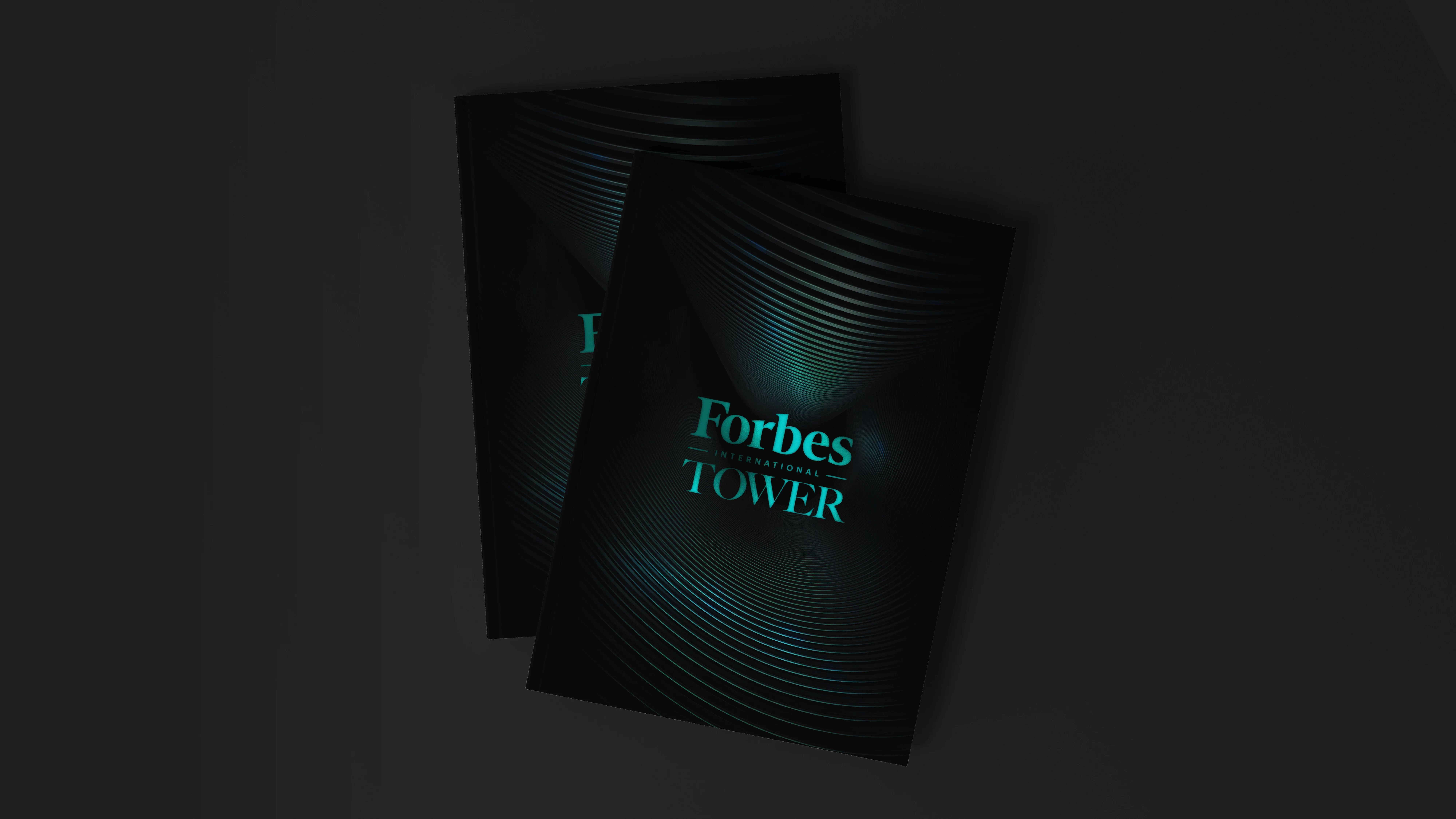 Dom Pérignon vineyards from the sky