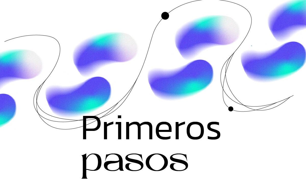 Primeros pasos