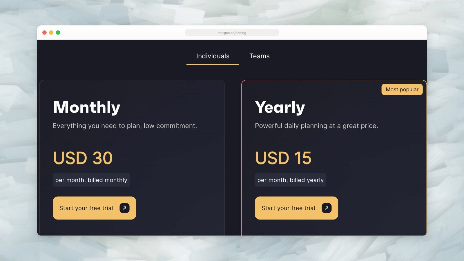 Morgen individual pricing: US$30 monthly or US$15 per month billed yearly.