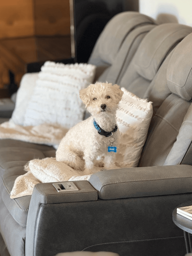 Woman In The Glass Way