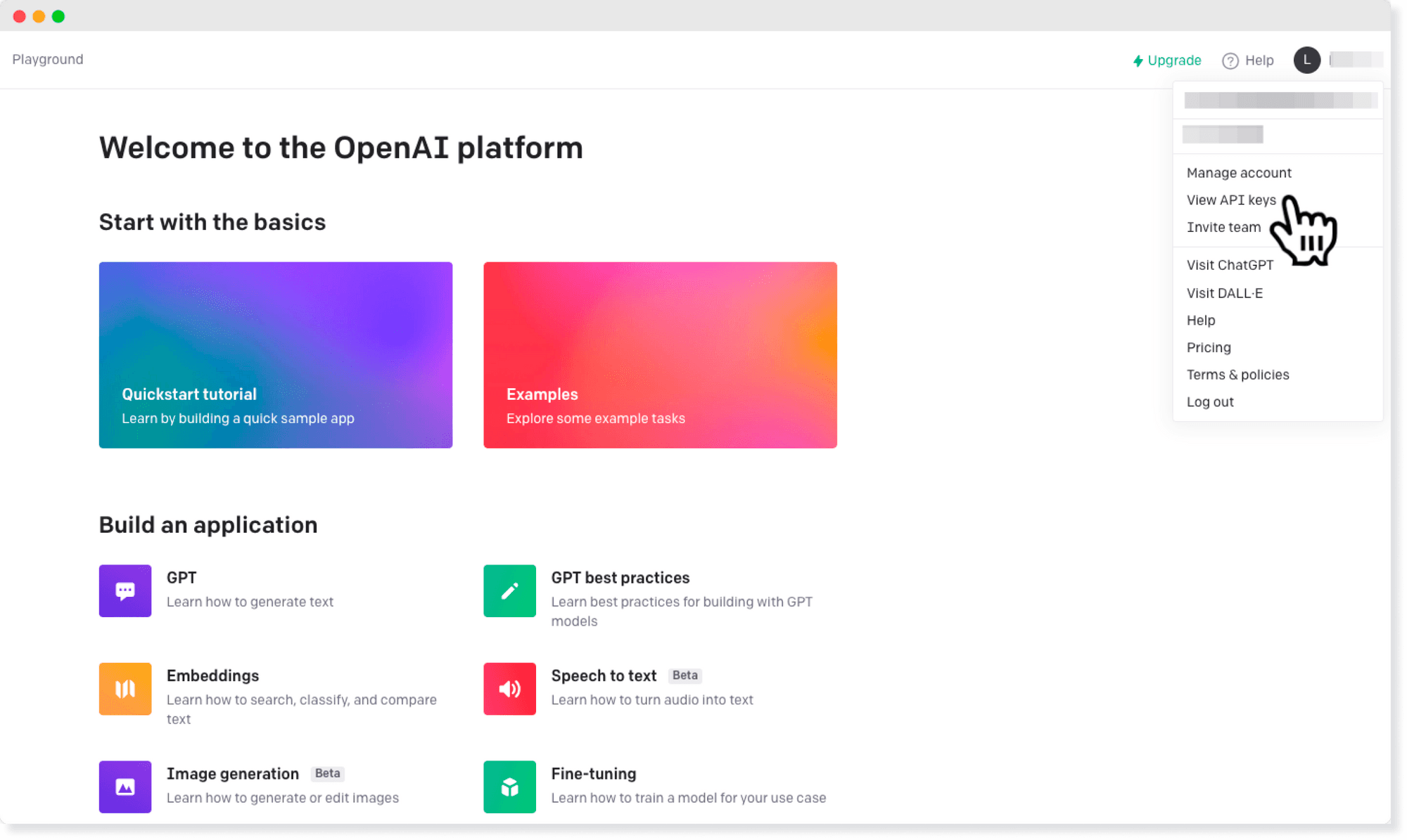 Openai account