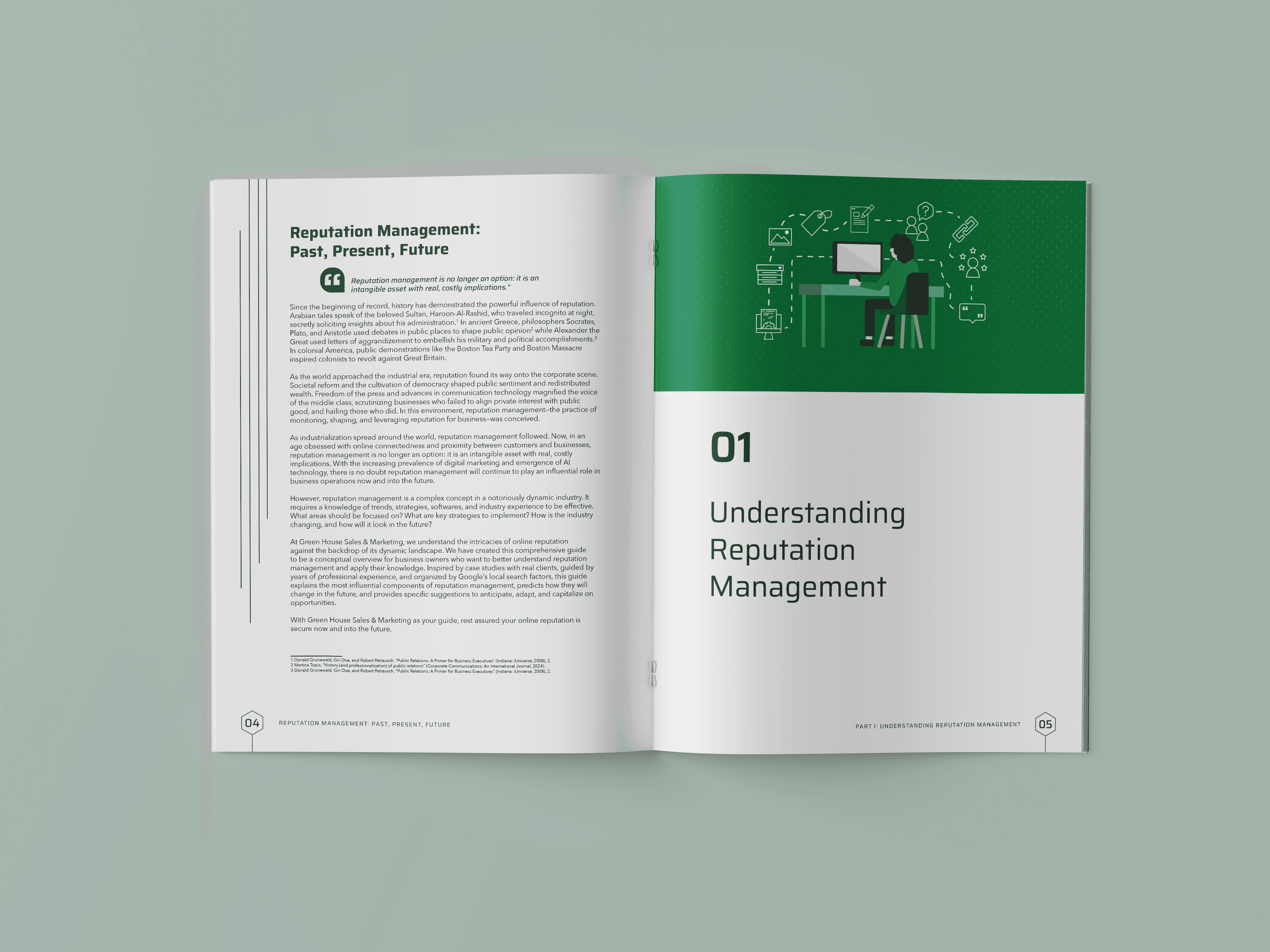 Reputation Management Ebook first section