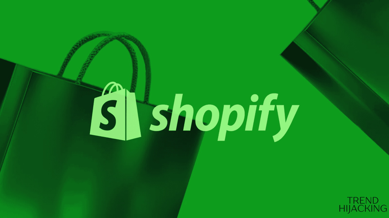 Shopify store profitability