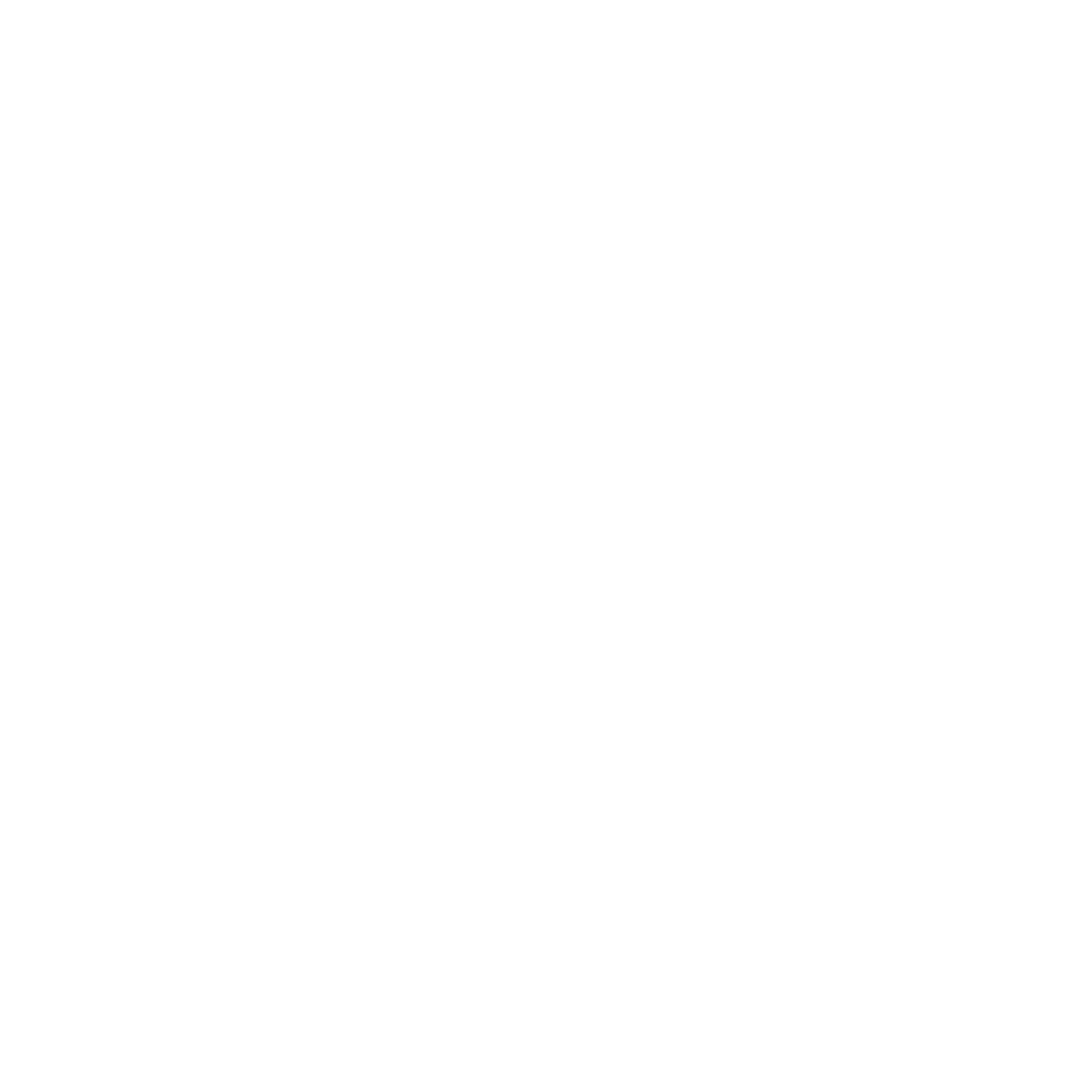 bajerservis logo