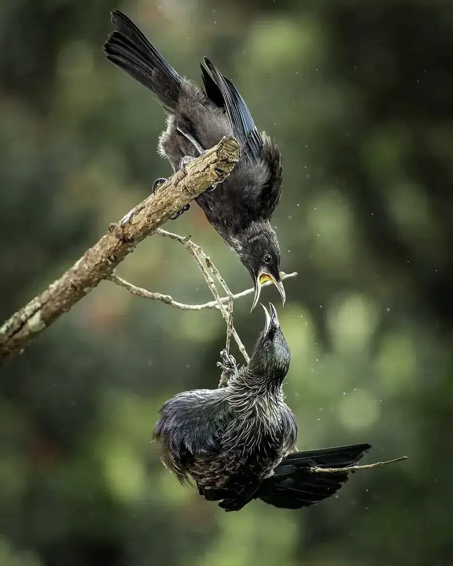 Striking Portrait with Bold Expression