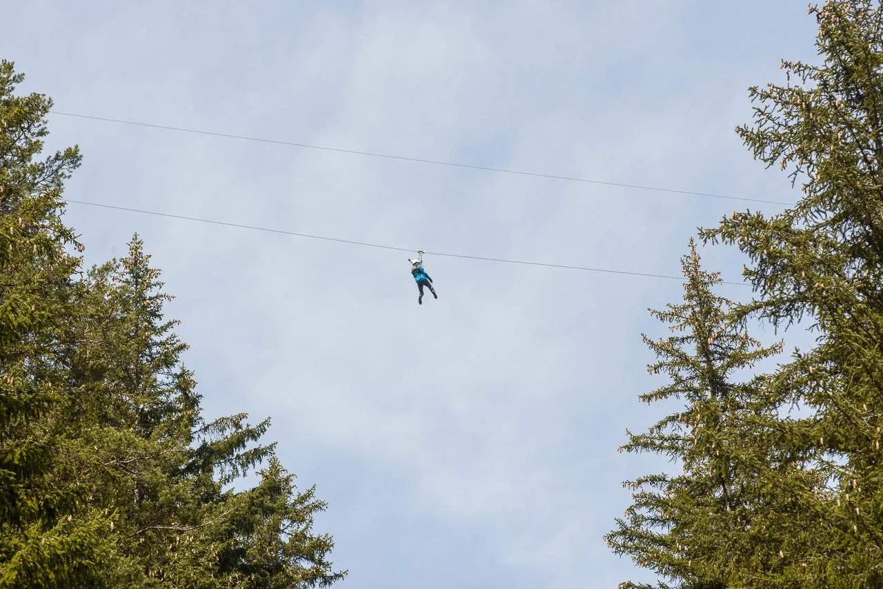 Persona sulla zipline tra gli abeti con cielo blu