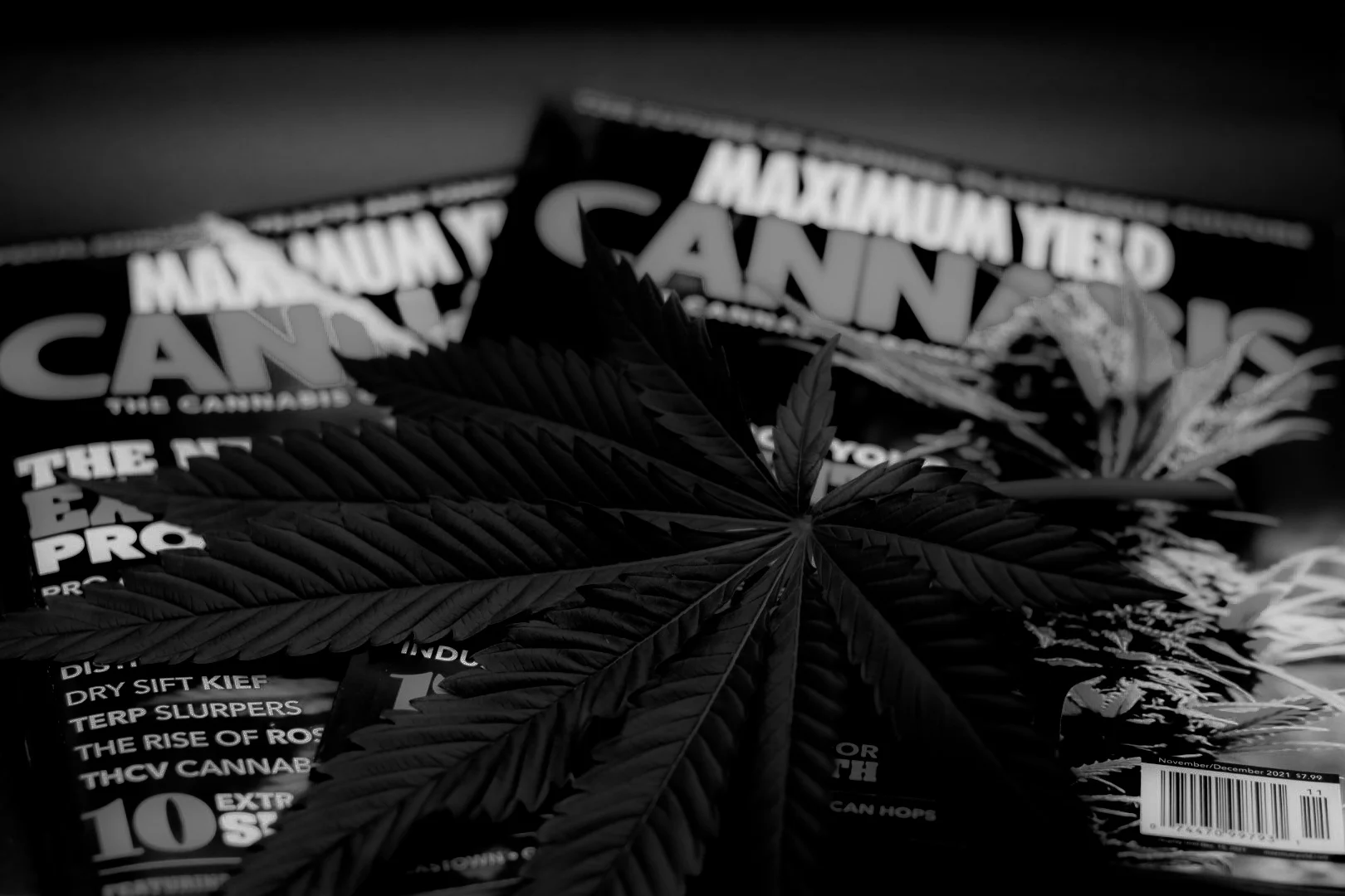 cannabis leaf on 2 Maximum Yield Magazines