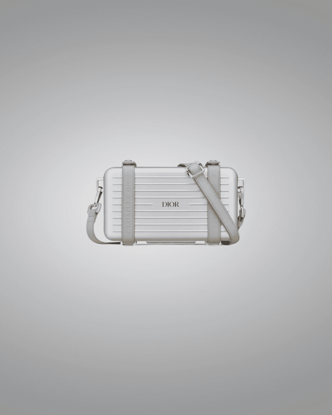 Dior and Rimowa Personal Clutch