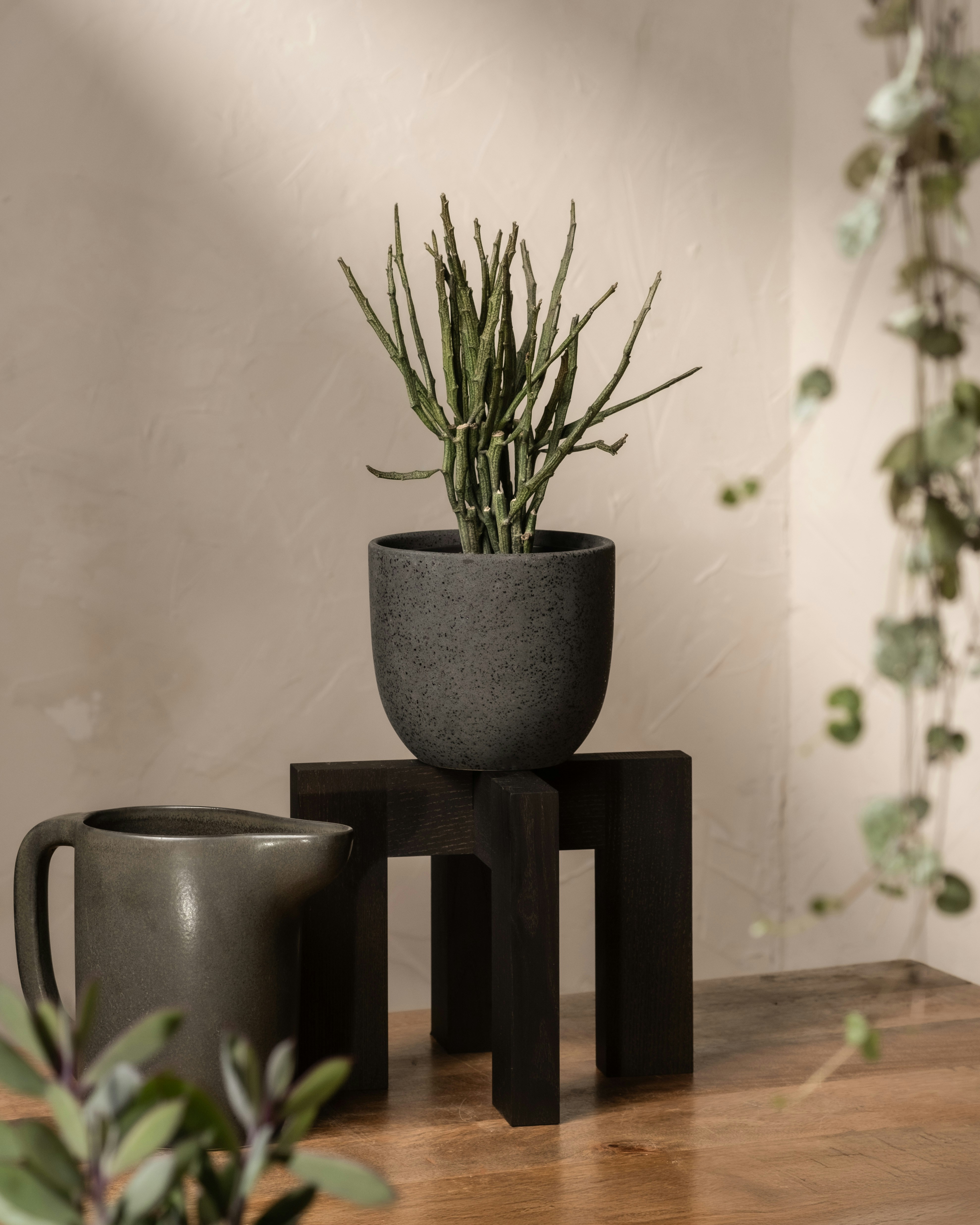 A couple of plants sitting on top of a wooden table