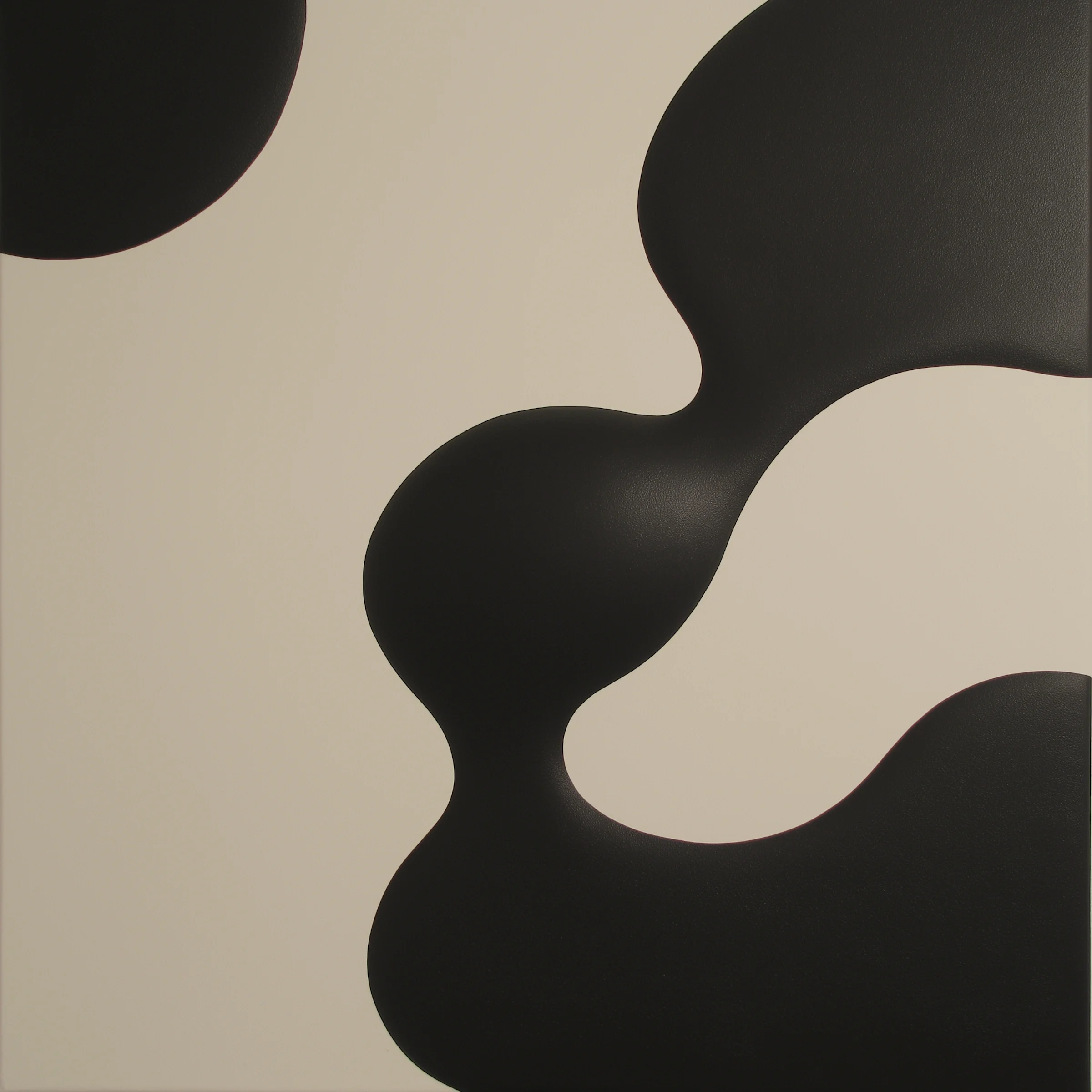Gala Soda brand artwork: single soft black organic blob form on a cream ground