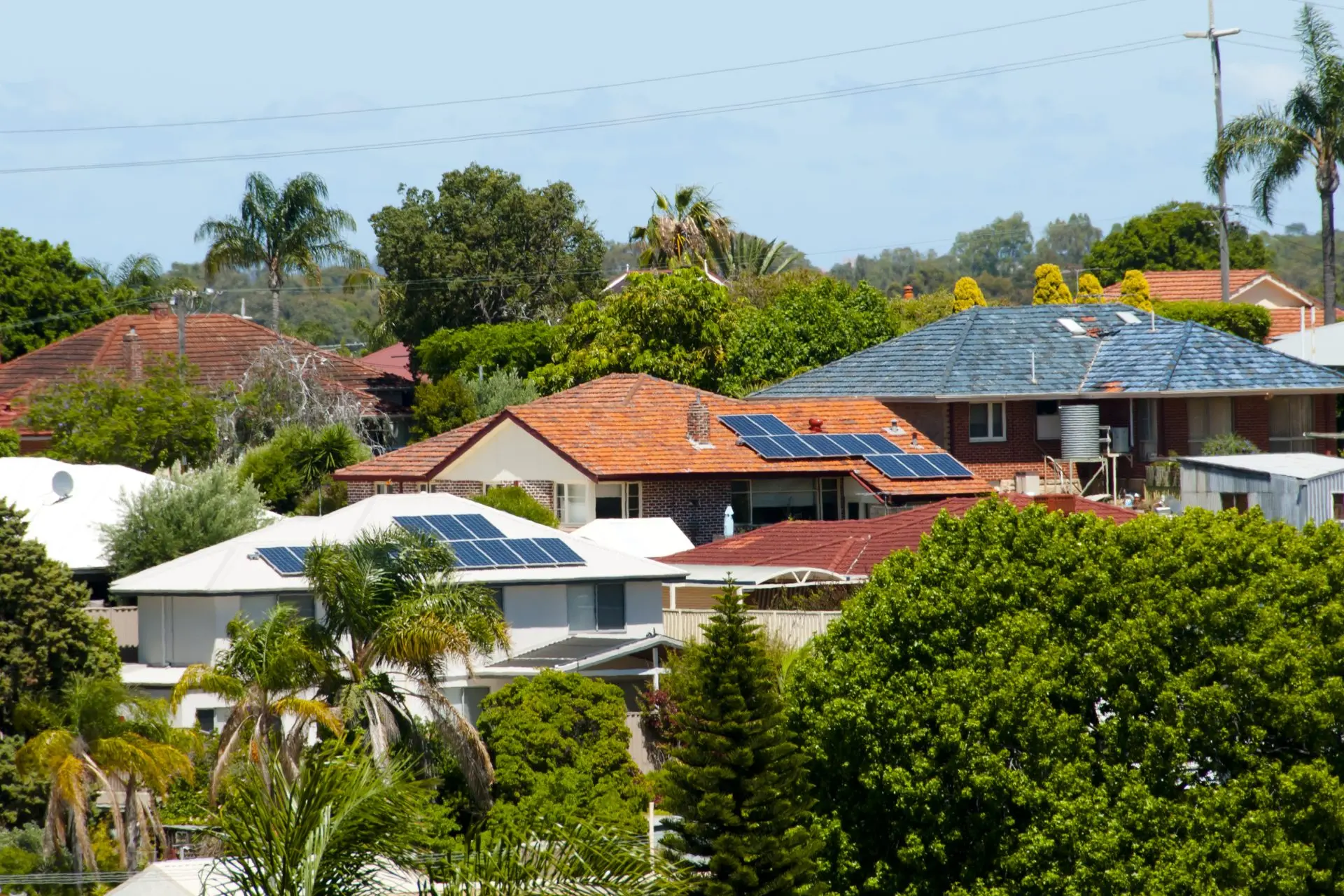 Suburban houses with many trees and solar panels.