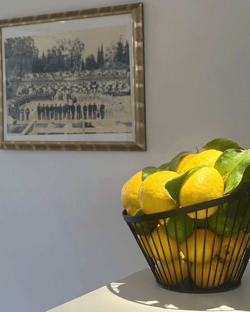 food served on a white plate