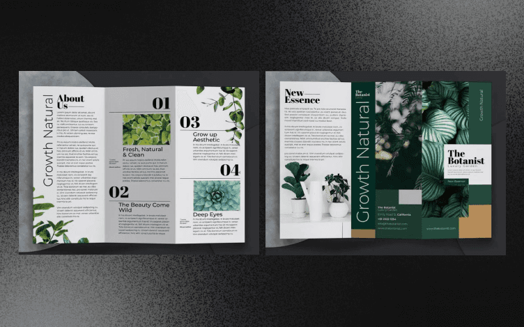 green color brochure