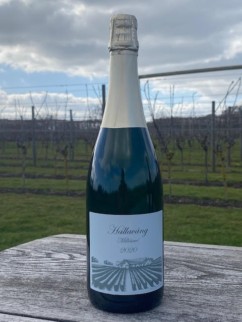 Elara wine pairings: reds for meats, whites for seafood, elevating meals