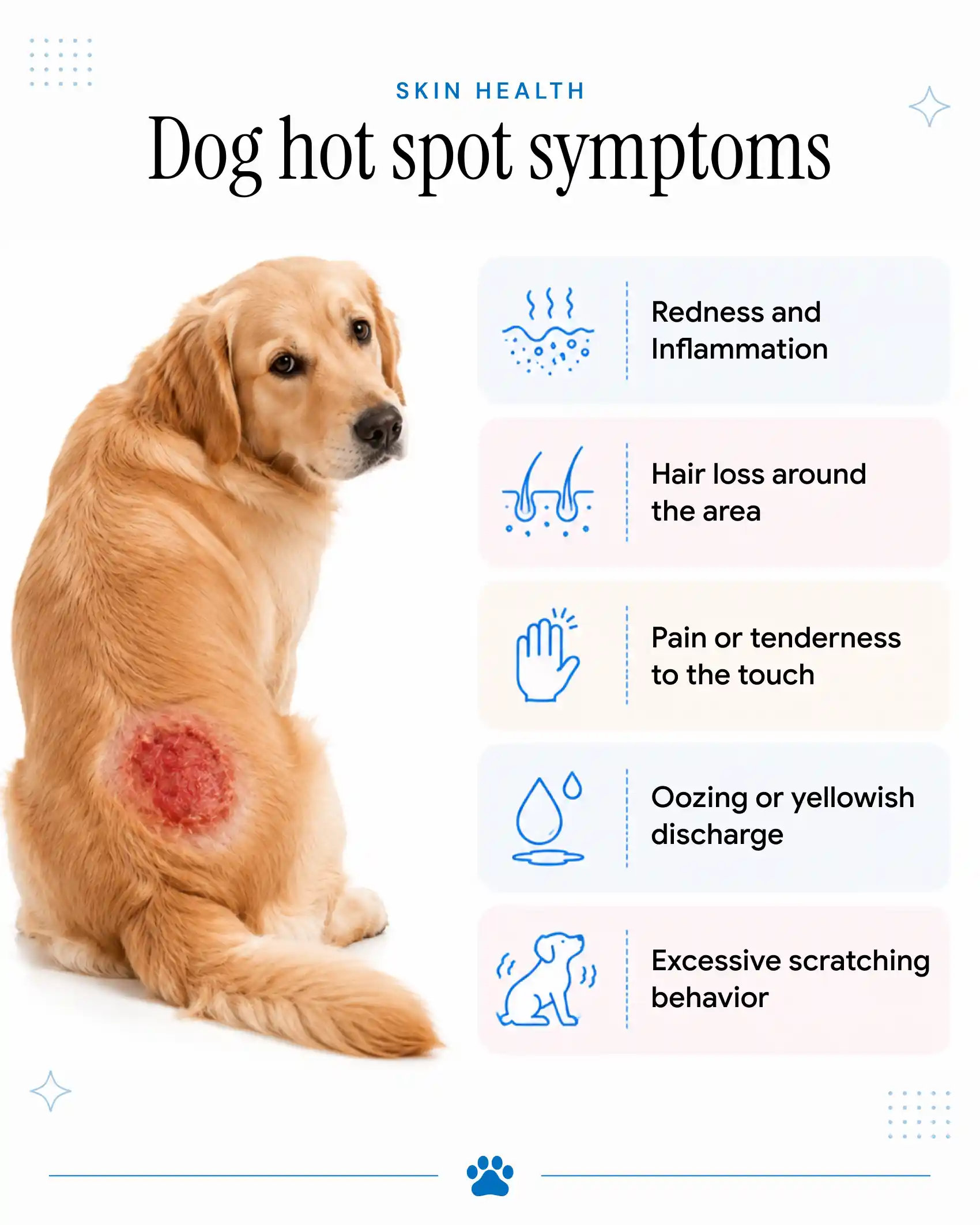 An infographic showing the signs of hot spots in dogs.