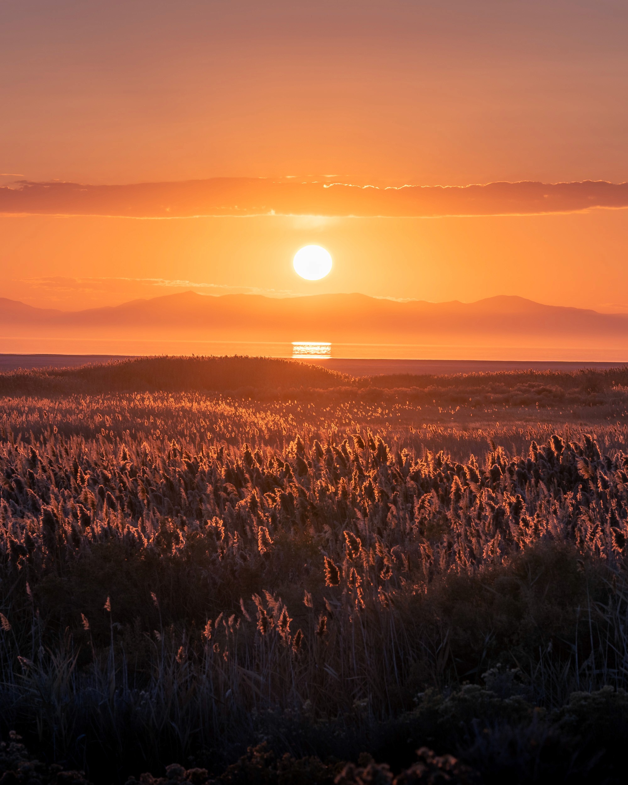 Fall sunset off of Buffalo Point Antelope Island, Utah