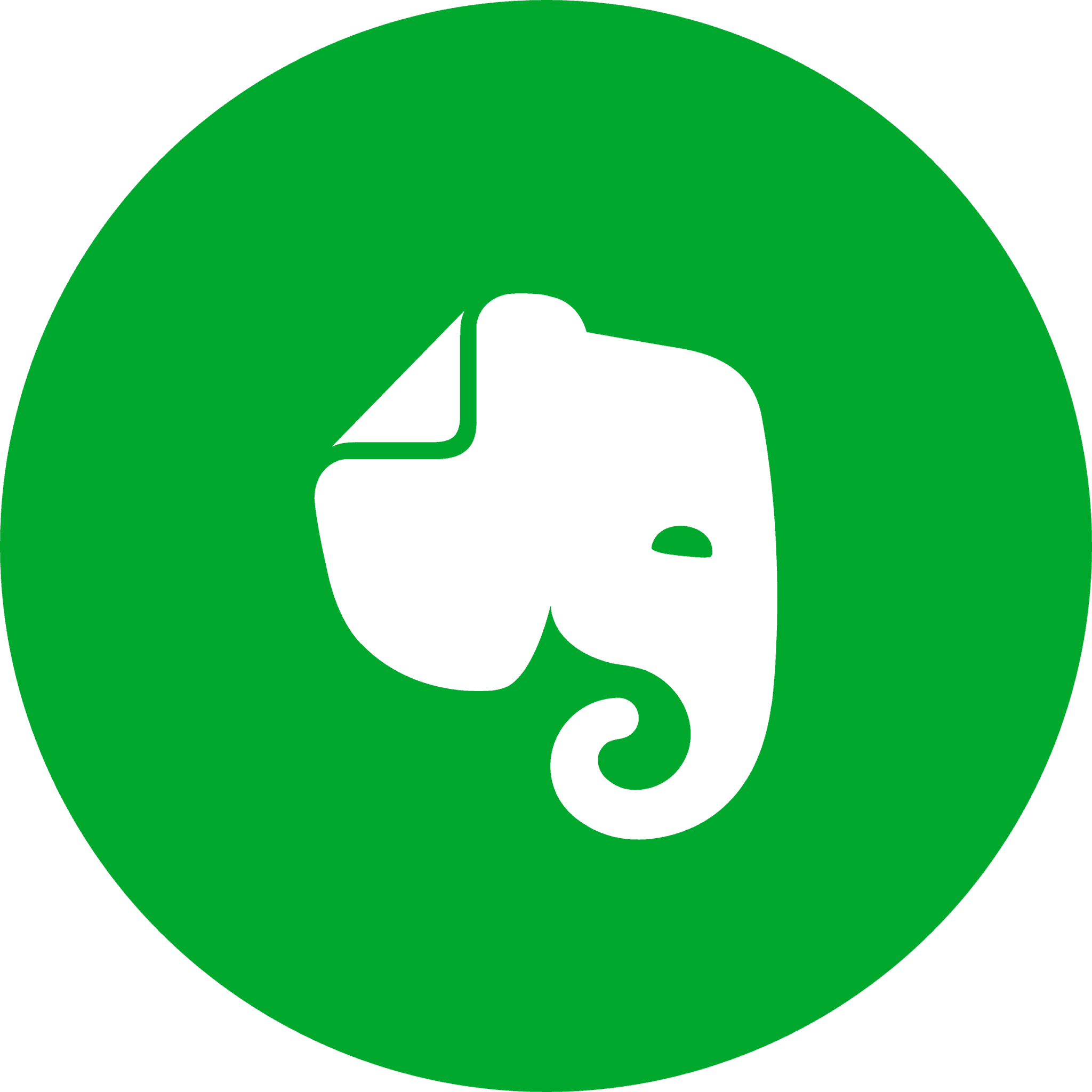 EverNote Logo