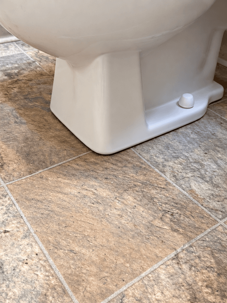 Bathroom Cleaning after