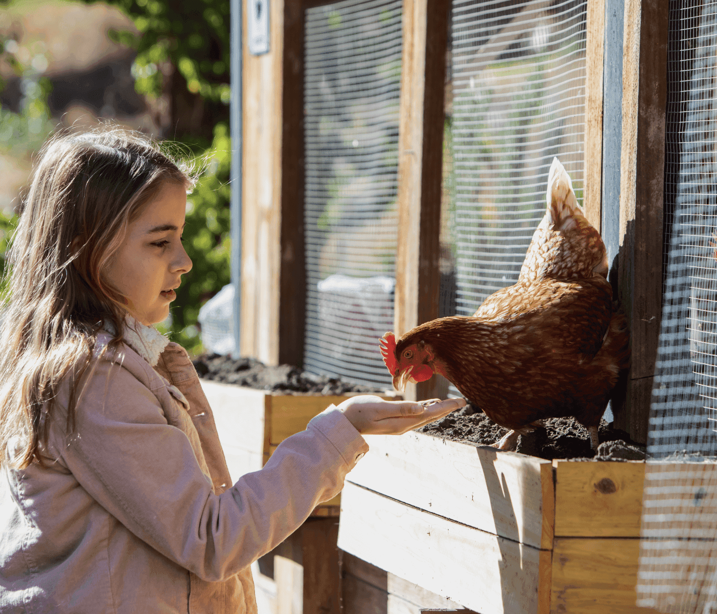 MaPorch chicken wire mesh animal pet protection