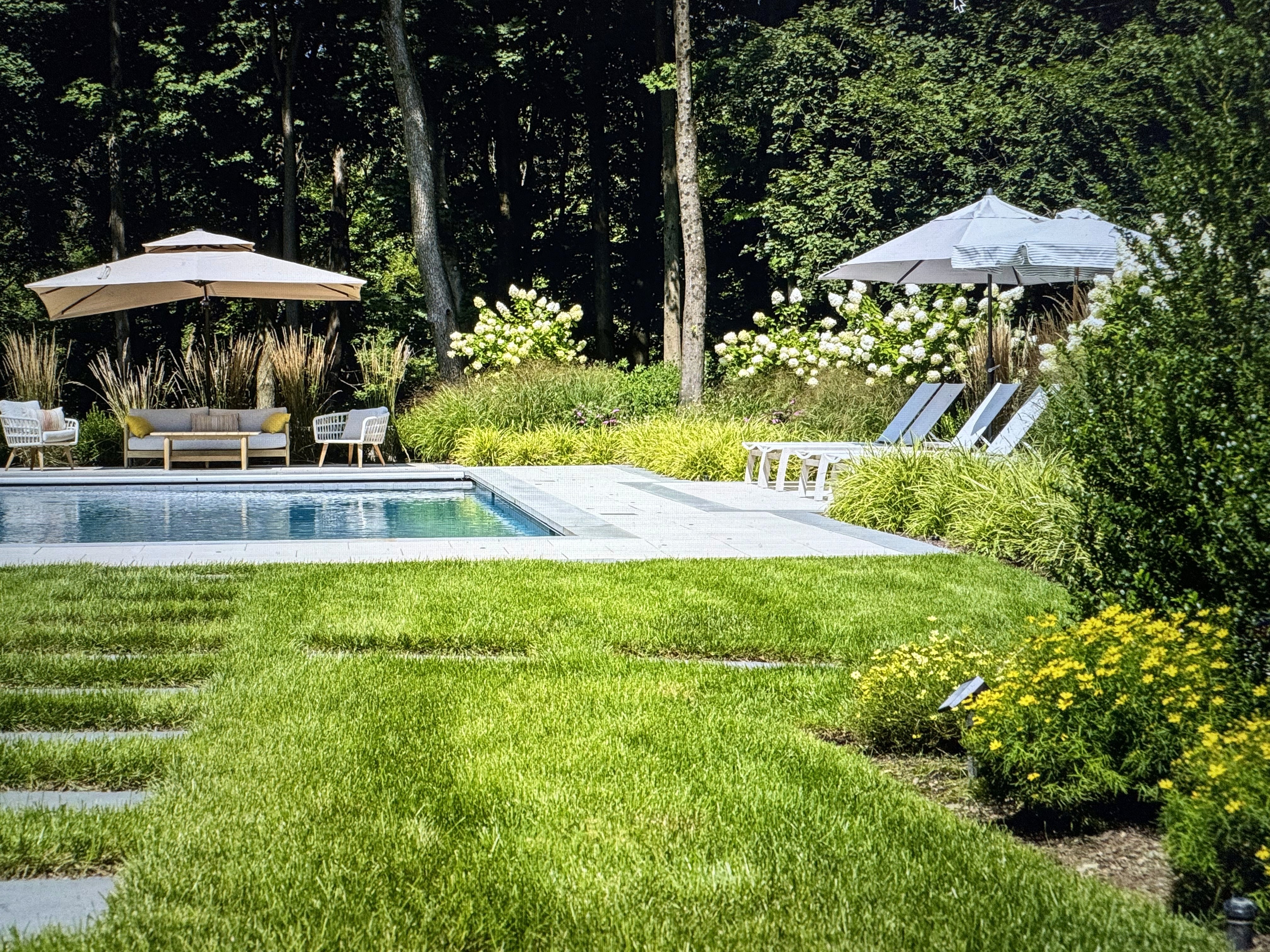 Poolside lounge area with umbrellas and trees.