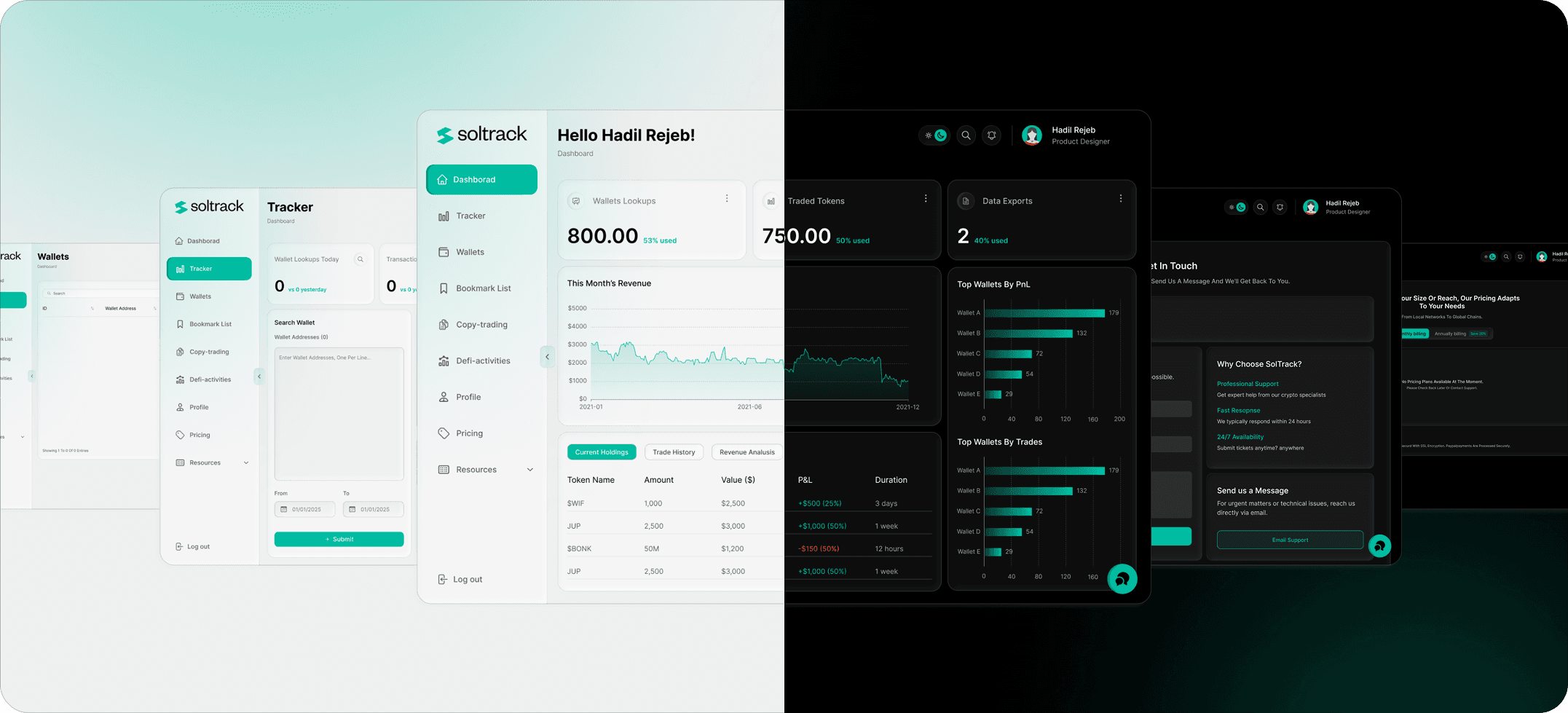 Soltrack | Token-Level Wallet Analysis