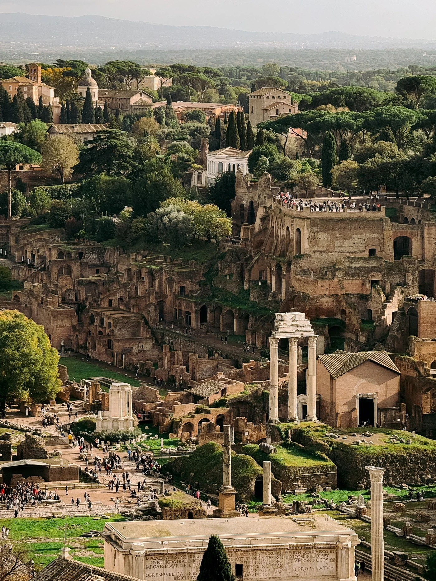 Ruins of the Roman Forum surrounded by trees and old city buildings