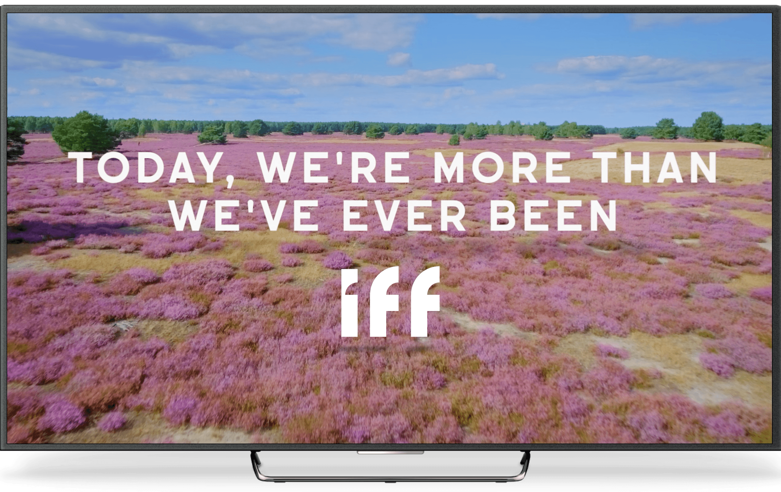 IFF Solar Fields video still on a flat panel TV