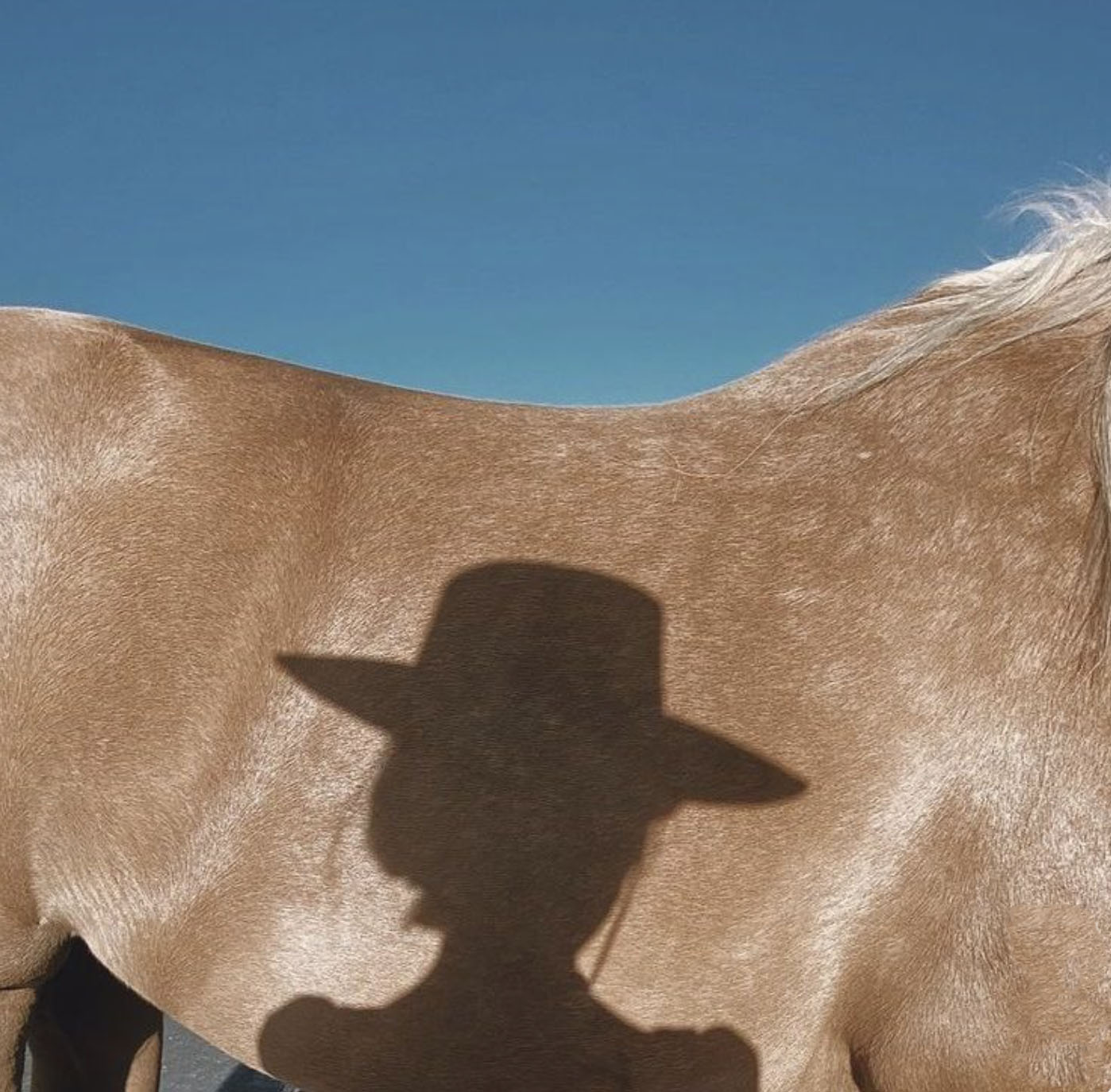 testimonial background image 1