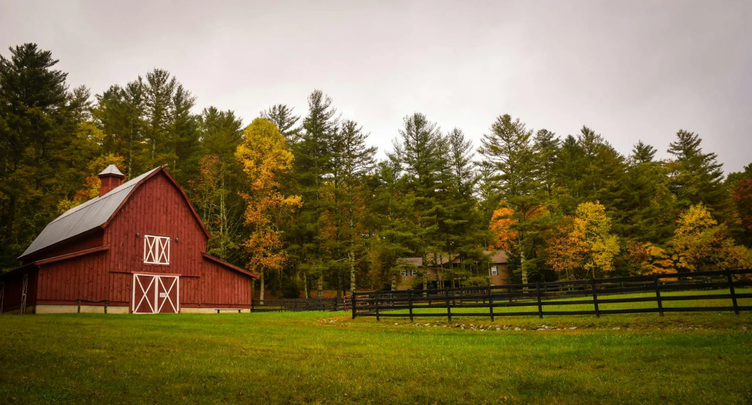 Pasture-rasied vs Free-range