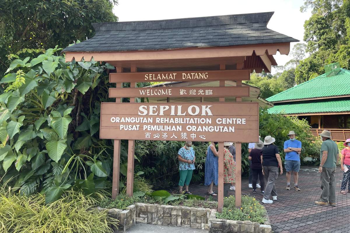 Sepilok Orangutan Rehab Centre