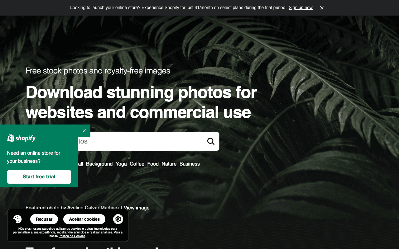Burst by Shopify екранна снимка