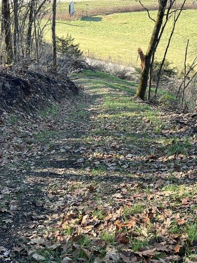 Photo 3 of 19 acres Old Hwy 61, Marion