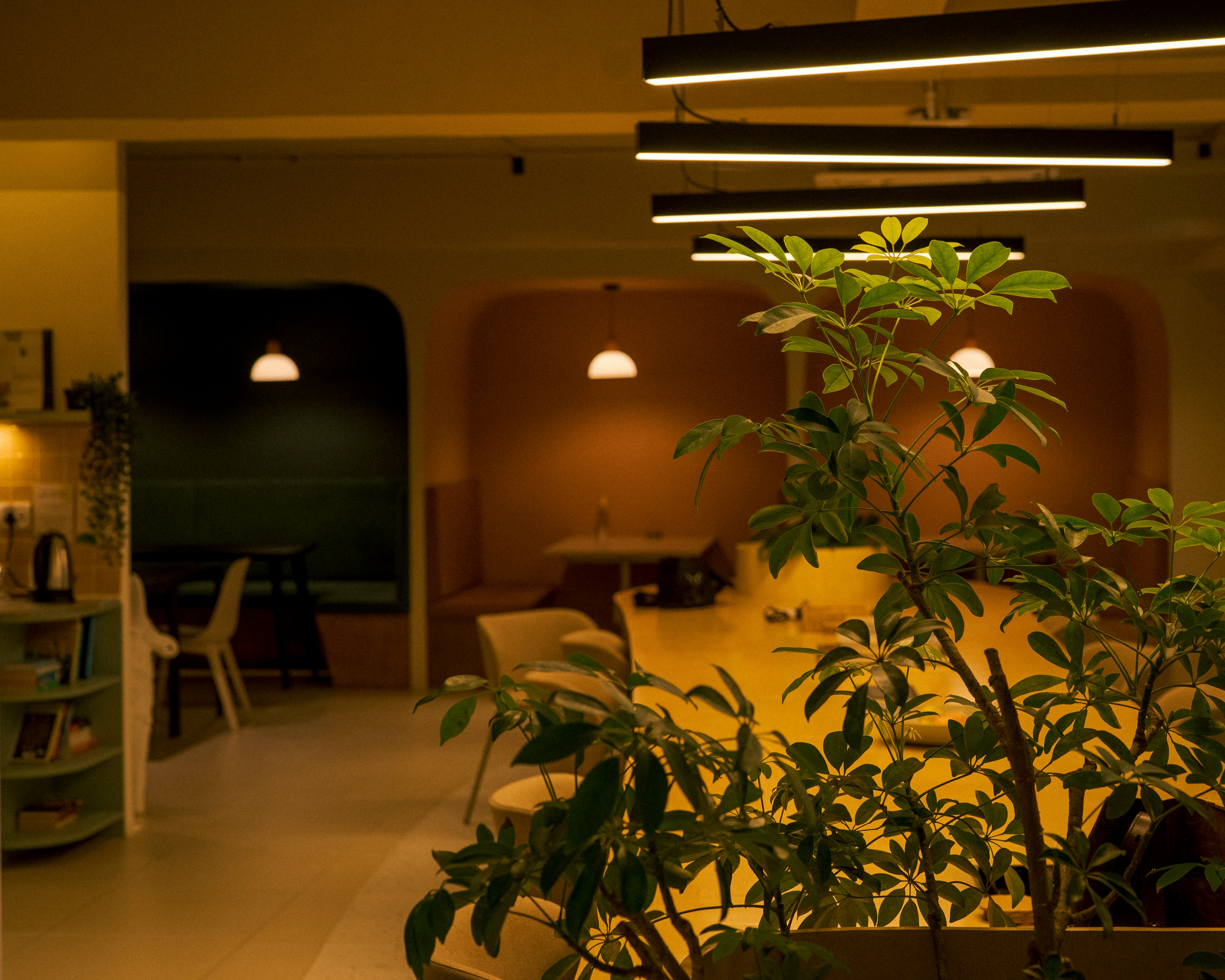 Interior of a modern lounge with plants and warm lighting