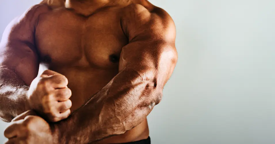 Tribulus terrestris is a plant extract believed to support testosterone levels.