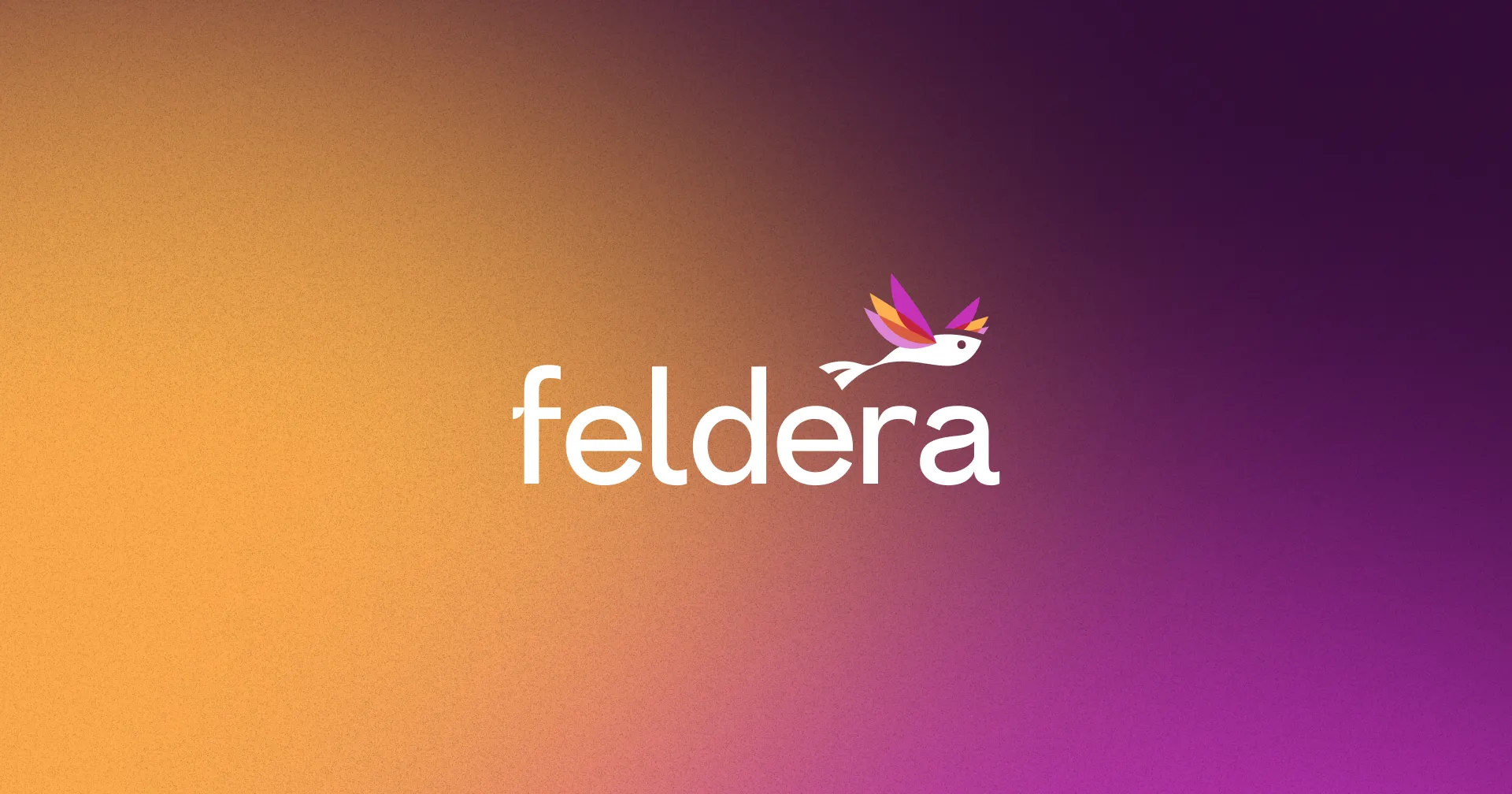 Feldera hummingbird logo and wordmark on an orange to magenta gradient from the brand identity