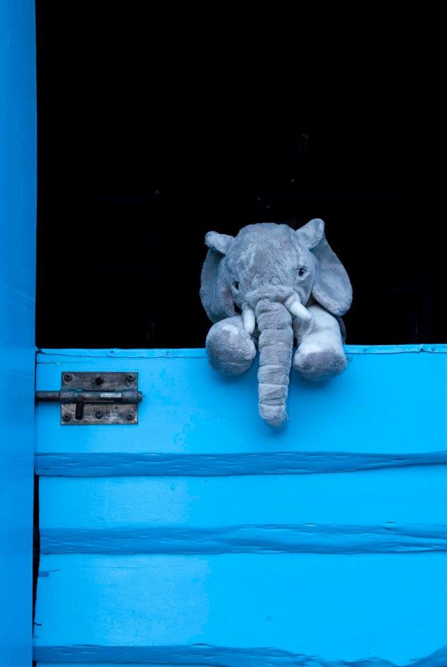 Schoolvoorstelling voor peuters en kleuters