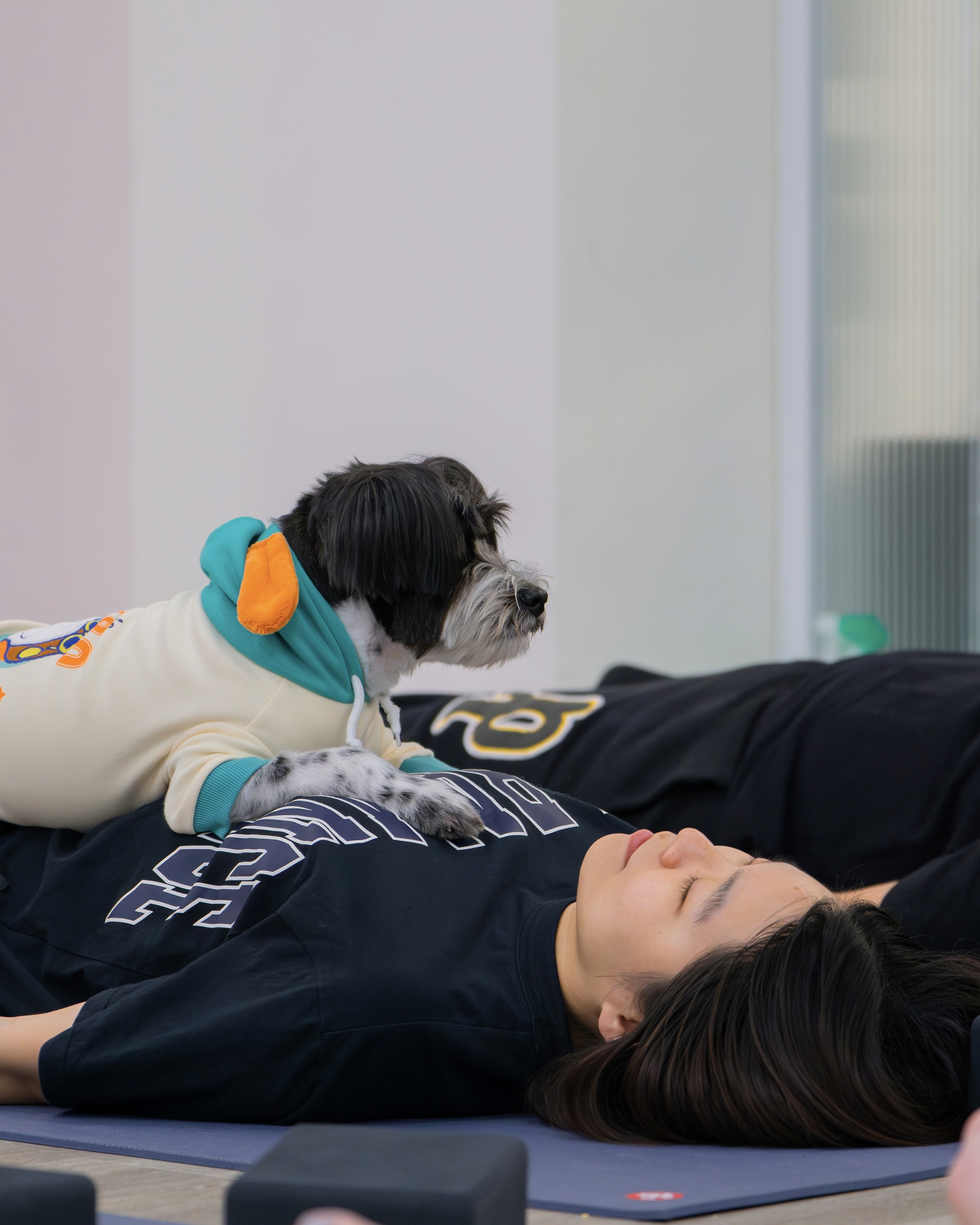 studio image of a lady sitting on a cool sofa