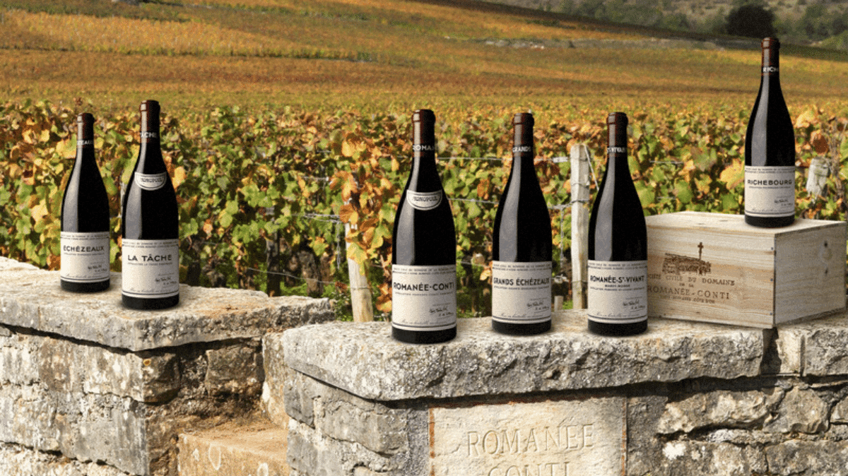 Romanée-Conti : le mythe absolu de Bourgogne