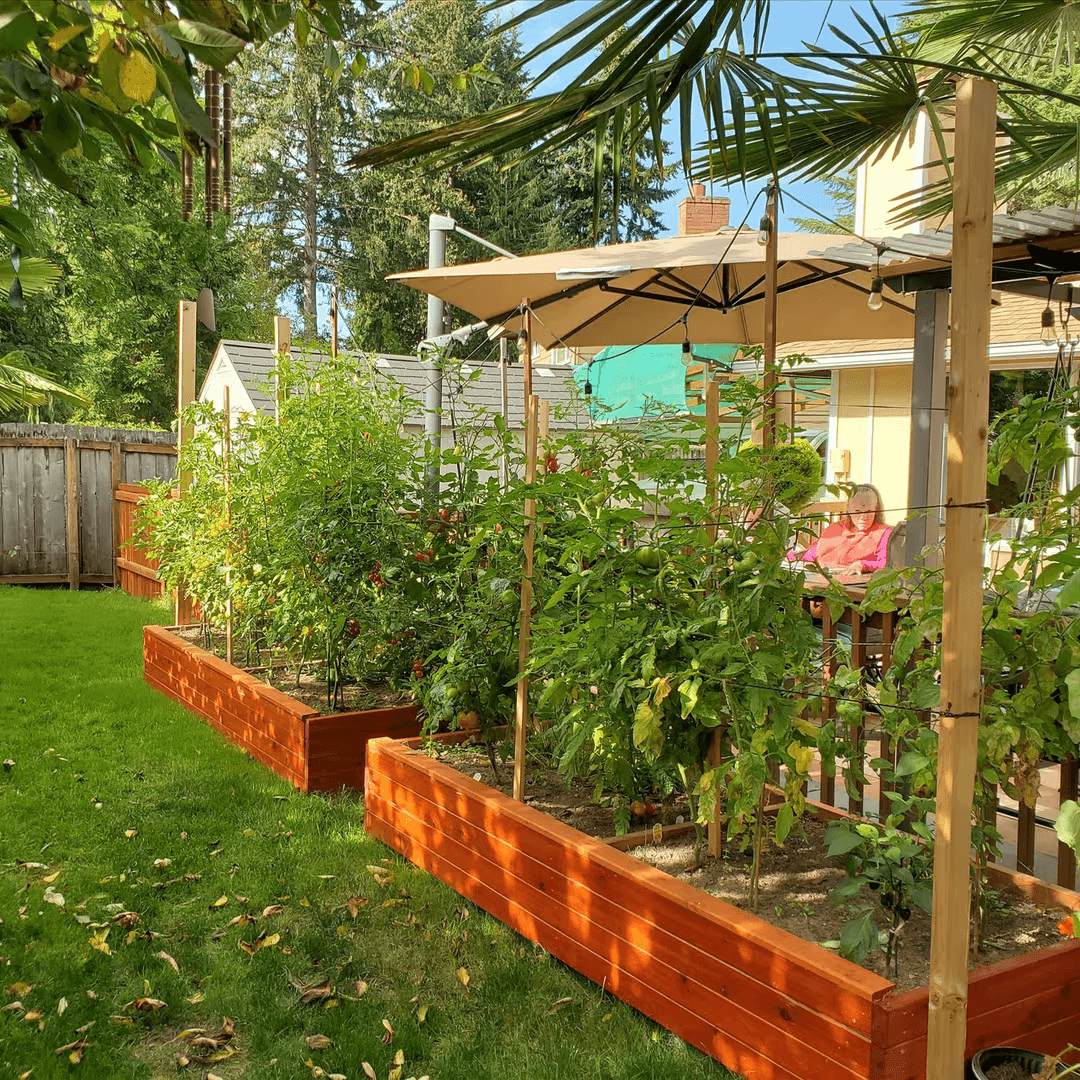Outdoor garden area at an adult family home where residents can help with plants and enjoy time outside.
