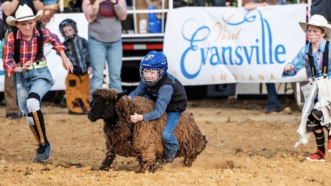 Mutton Bustin' Contestant 