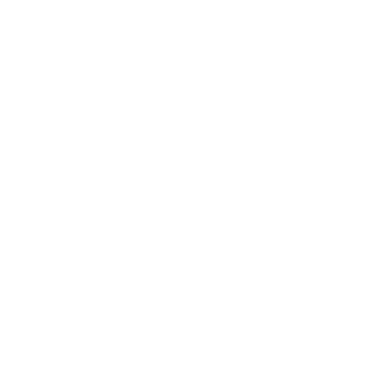 Icon of Phone
