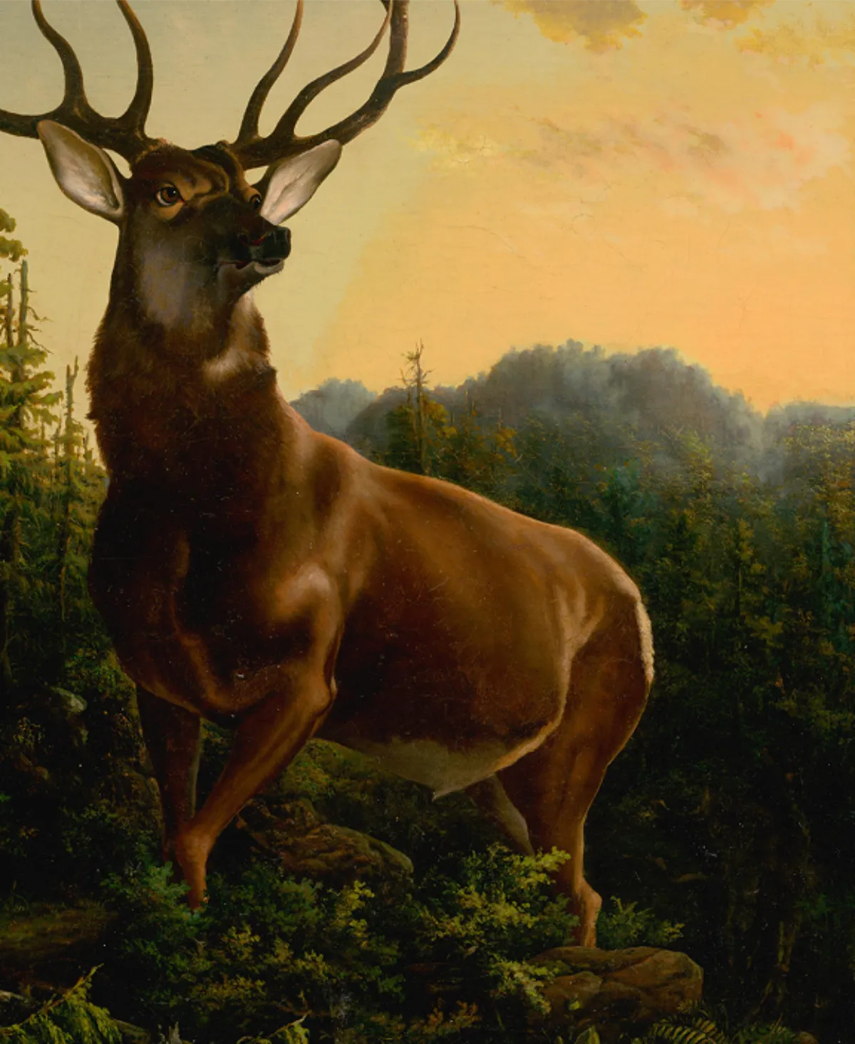 Woman portrait at Bellevoire