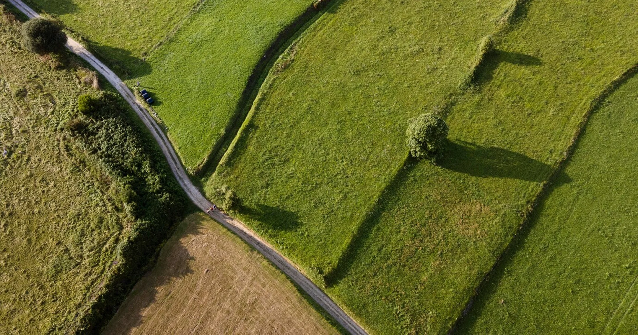Aerial farmland with green fields