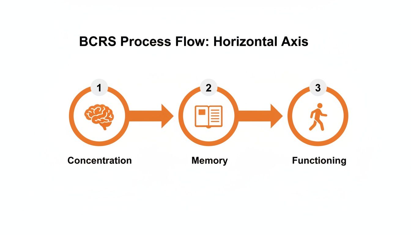 BCRS horizontal process flow with three stages: Concentration (brain), Memory (book), and Functioning (person).