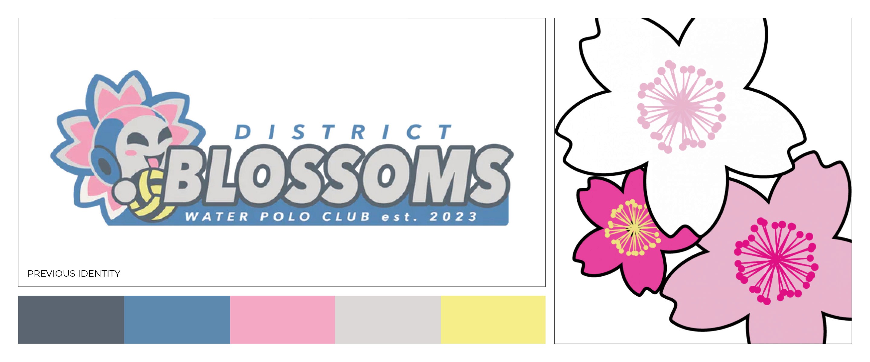 Blossoms Water Polo Club previous logo, colors and branding.