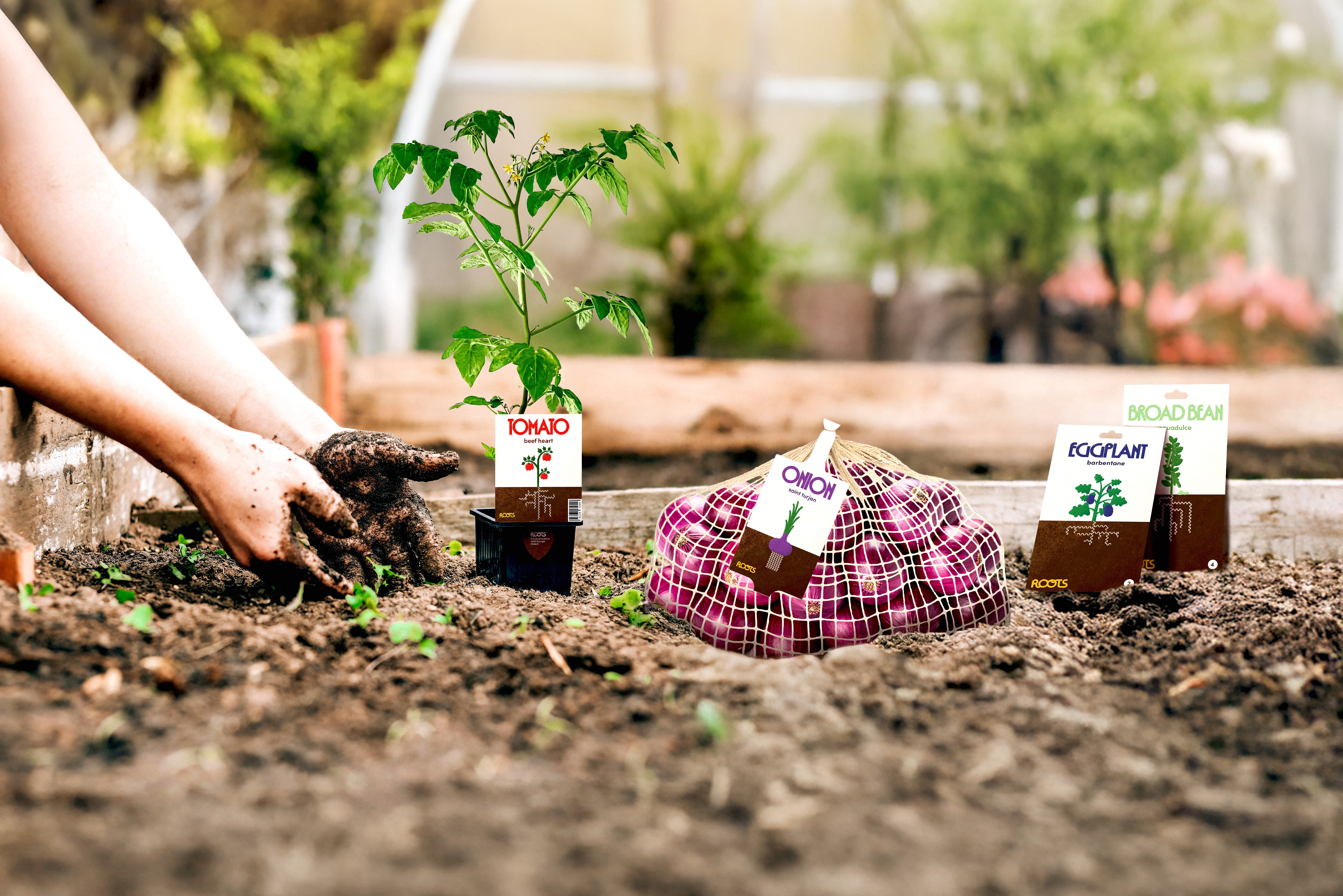 Différents packagings de la marque Roots